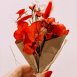 Bouquet of red flowers wrapped in brown paper held by a hand with red nail polish on a light background